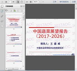 国产27页,深度解析中国电影产业的新篇章  第1张